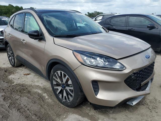 Salvage cars for sale from Copart Riverview, FL: 2020 Ford Escape SE