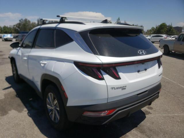 2022 HYUNDAI TUCSON BLU KM8JBCA15NU024359