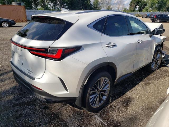 2022 LEXUS NX 350H JTJGKCEZ6N2003172
