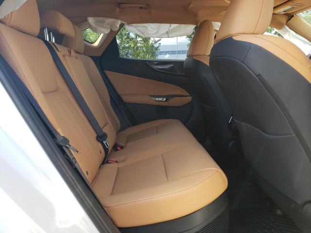 2022 LEXUS NX 350H JTJGKCEZ6N2003172