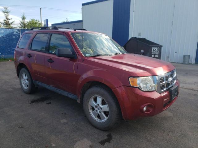 Salvage cars for sale from Copart Moncton, NB: 2012 Ford Escape XLT