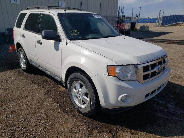 Salvage cars for sale from Copart Rocky View County, AB: 2012 Ford Escape XLT