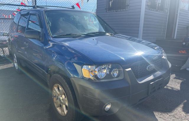 Salvage cars for sale from Copart Hillsborough, NJ: 2007 Ford Escape XLT