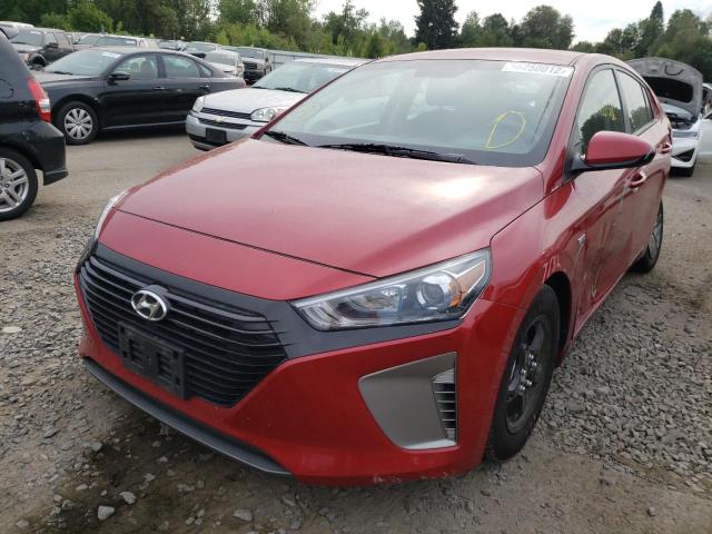 2019 HYUNDAI IONIQ BLUE - KMHC65LC9KU173537