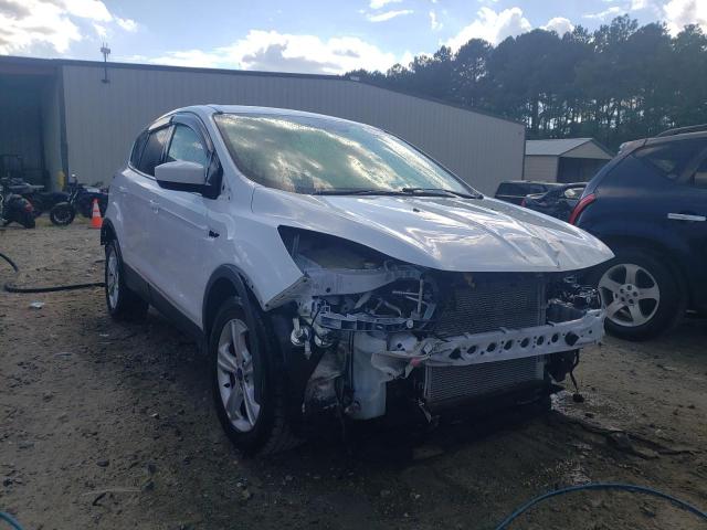 Salvage cars for sale from Copart Seaford, DE: 2016 Ford Escape SE