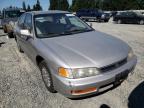 1996 HONDA  ACCORD