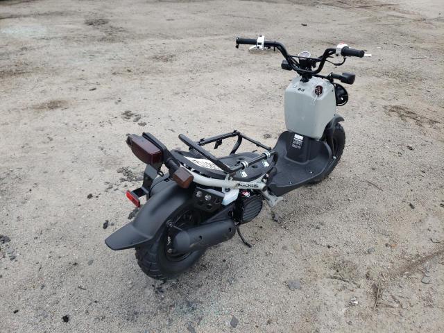 Honda Ruckus nps50