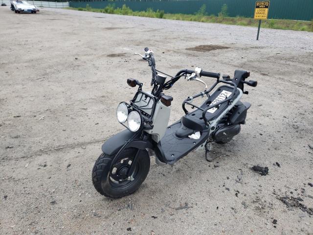 Honda Ruckus nps50