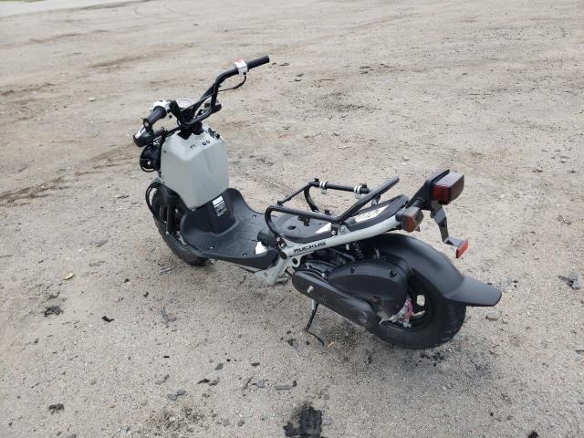 Honda Ruckus nps50