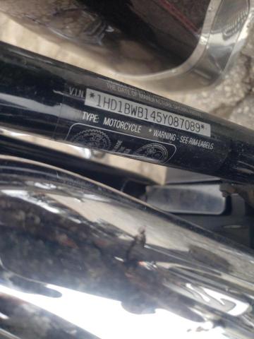 2005 HARLEY-DAVIDSON FLSTCI 1HD1BWB145Y087089