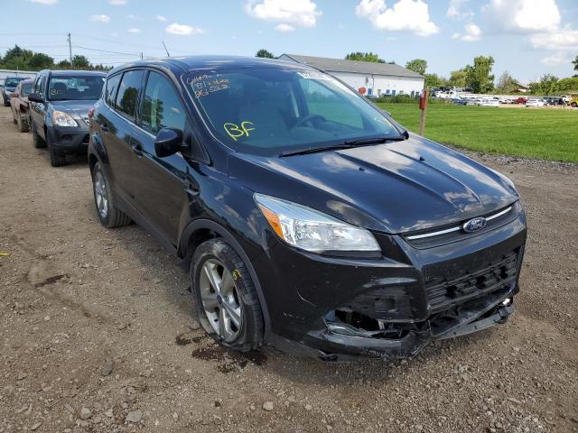 Salvage cars for sale from Copart Columbia Station, OH: 2015 Ford Escape SE
