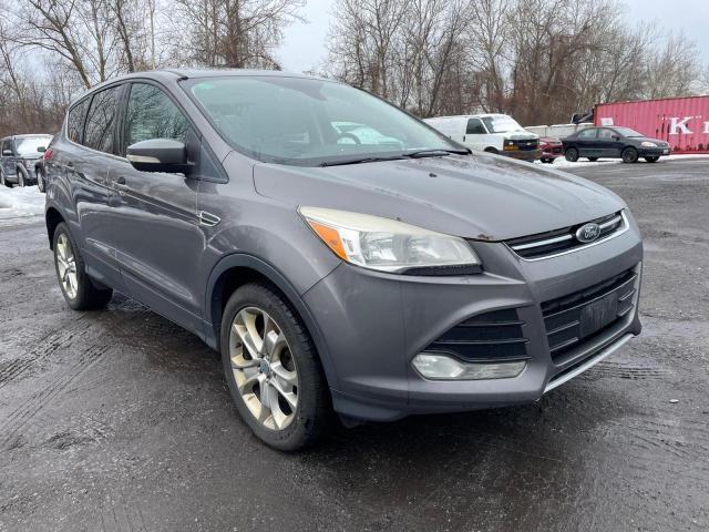 Salvage cars for sale at Mendon, MA auction: 2013 Ford Escape SEL