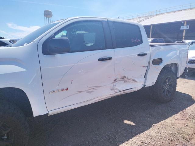 2021 GMC CANYON AT4 1GTG6FEN3M1251583