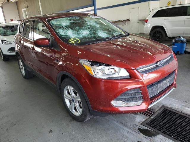 Salvage cars for sale from Copart Pasco, WA: 2014 Ford Escape SE