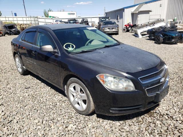 2010 Chevrolet Malibu LS