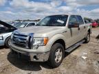 2009 Ford F150 Supercrew იყიდება Elgin-ში, IL - Rear End