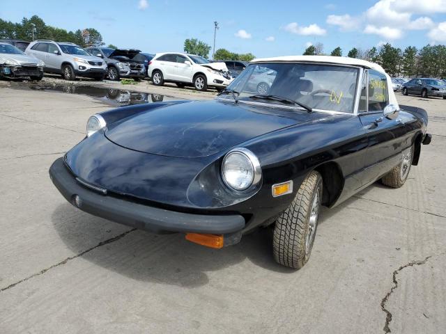 ALFA ROMEO SPIDER  1978 1