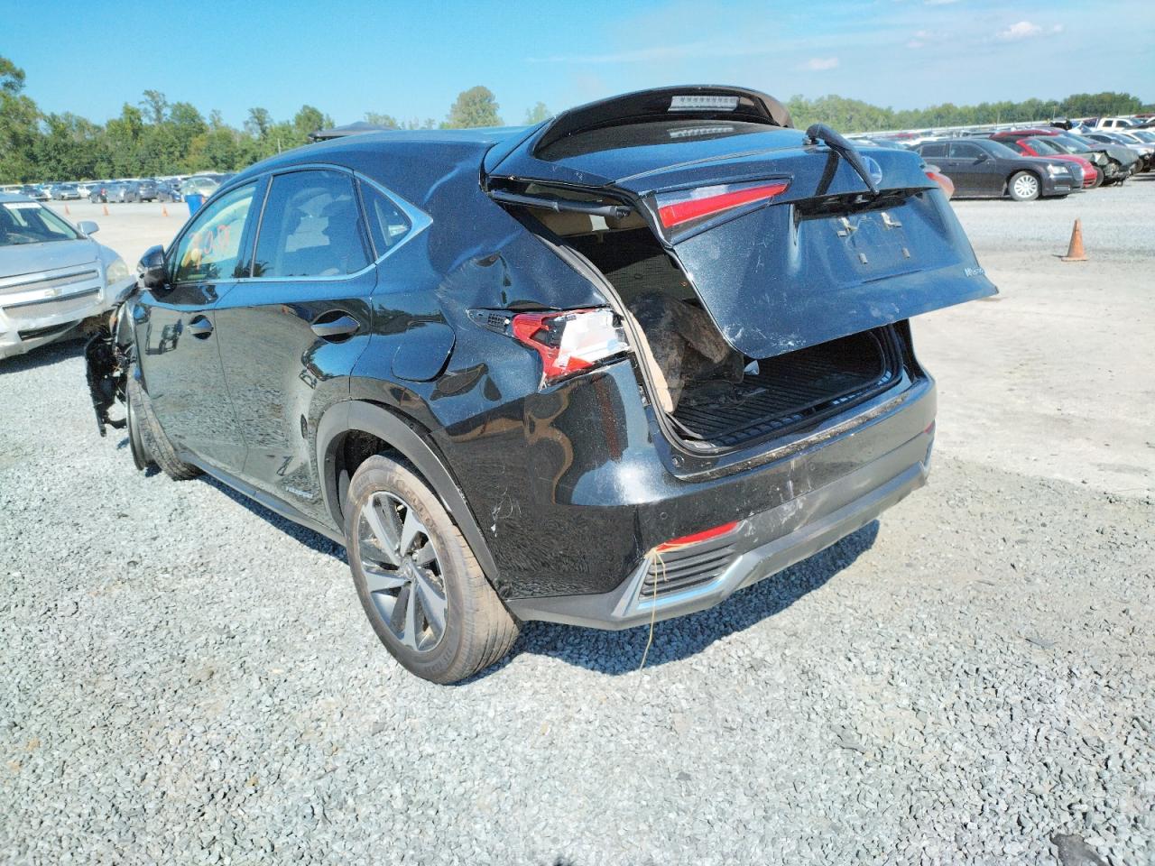 2020 Lexus Nx 300H VIN: JTJGJRDZ0L2139477 Lot: 57442822