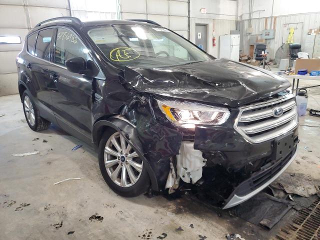 Salvage cars for sale from Copart Columbia, MO: 2019 Ford Escape SEL