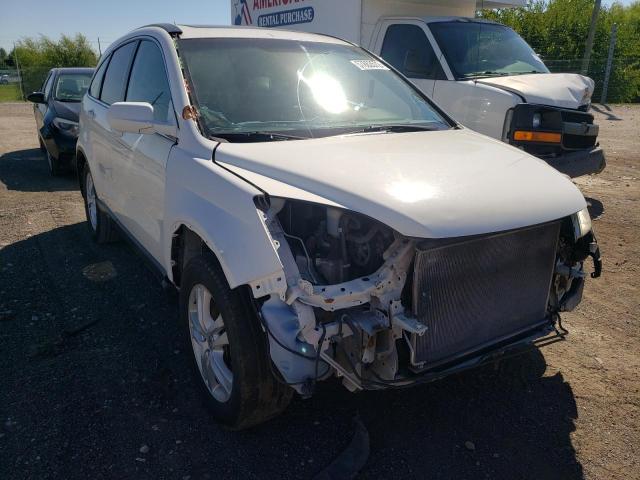 2010 Honda Cr-V Exl VIN: 5J6RE4H75AL029912 Lot: 49163324