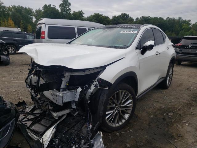 2022 LEXUS NX 350H JTJHKCEZ7N2000379