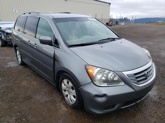 Salvage cars for sale from Copart Rocky View County, AB: 2009 Honda Odyssey EX