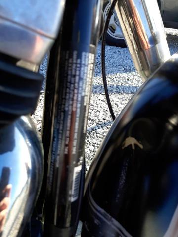 2014 HARLEY-DAVIDSON FLS SOFTAI 1HD1JRV12EB036273