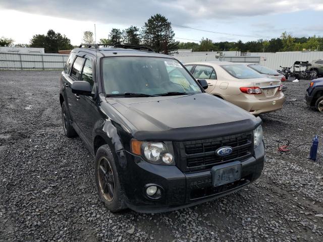 2012 Ford Escape for sale in Albany, NY