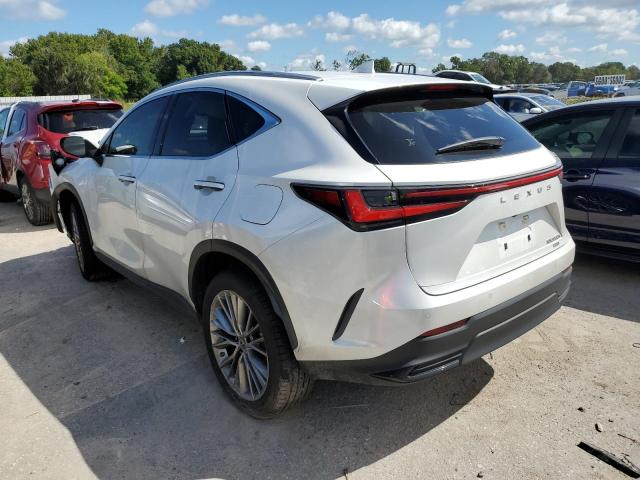 2022 LEXUS NX 350H JTJGKCEZXN5001536