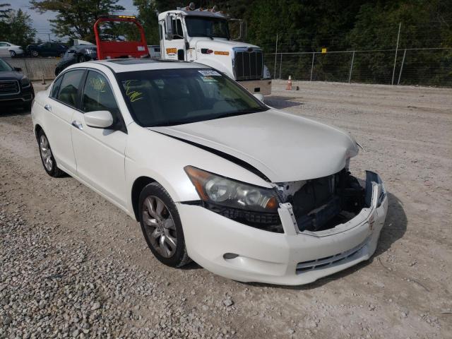 Salvage cars for sale from Copart Northfield, OH: 2010 Honda Accord EXL