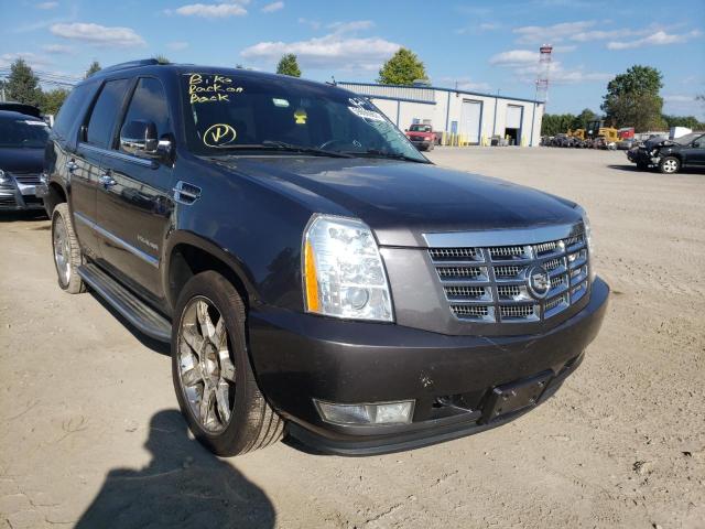 Salvage cars for sale from Copart Finksburg, MD: 2010 Cadillac Escalade L