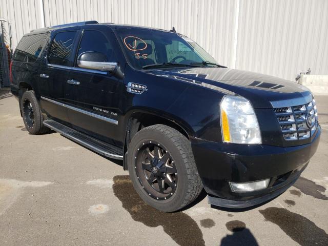 Salvage cars for sale from Copart Nisku, AB: 2010 Cadillac Escalade E