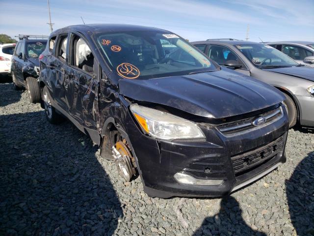 2013 Ford Escape SEL en venta en Ham Lake, MN