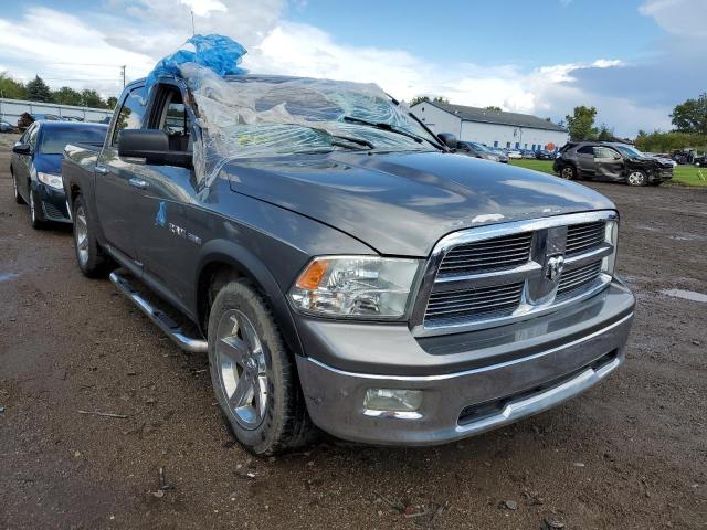 Salvage cars for sale from Copart Columbia Station, OH: 2010 Dodge RAM 1500