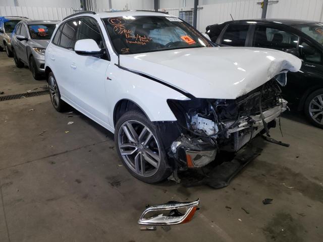 2016 AUDI SQ5 PREMIU - WA1CCAFPXGA143440