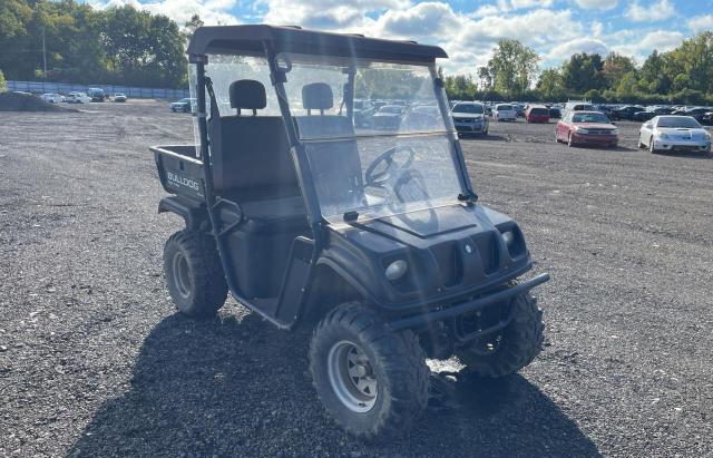 Copart GO Motorcycles for sale at auction: 2010 ATV Other