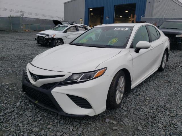 2019 TOYOTA CAMRY L - 4T1B11HK0KU197406