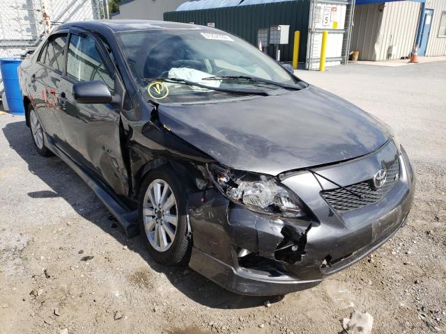 Salvage cars for sale from Copart Finksburg, MD: 2010 Toyota Corolla BA