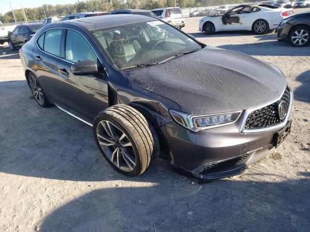 2019 Acura TLX 