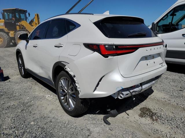 2022 LEXUS NX 350H JTJGKCEZ7N5001848