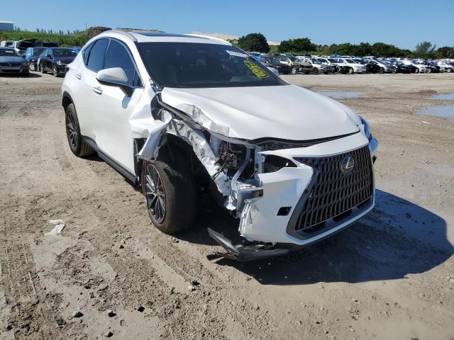 2022 LEXUS NX 250 2T2GDCAZ2NC001502