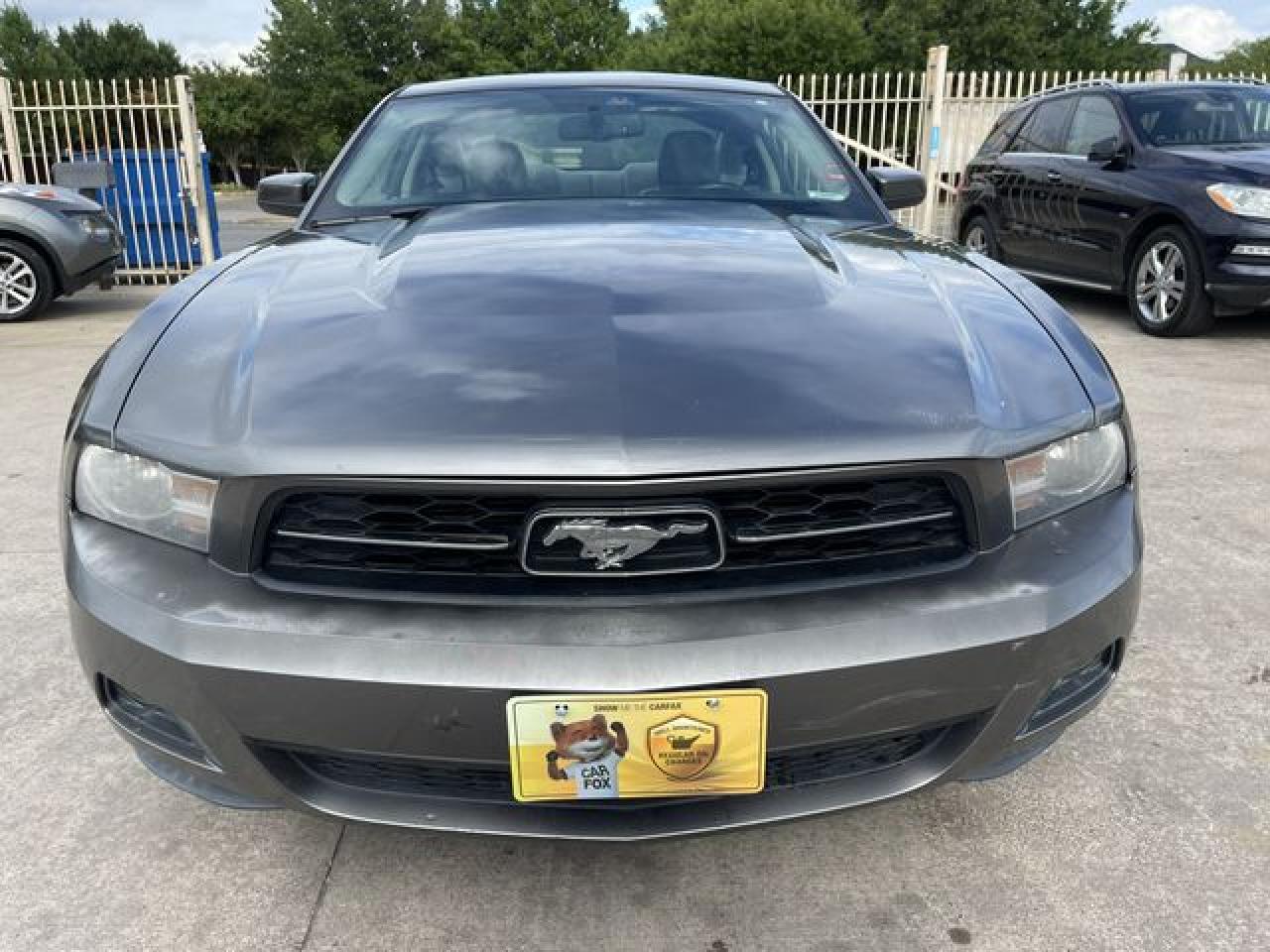 2010 Ford Mustang VIN: 1ZVBP8AN2A5131977 Lot: 61786092