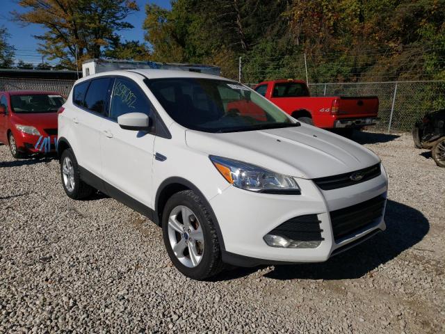 Salvage cars for sale from Copart Northfield, OH: 2014 Ford Escape SE
