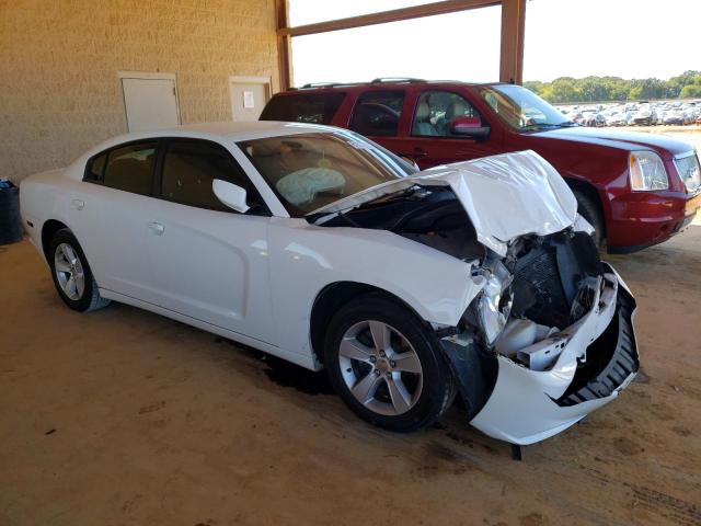 2014 DODGE CHARGER - 2C3CDXBG3EH174852