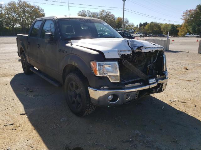Salvage cars for sale at Lexington, KY auction: 2013 Ford F150 Supercrew