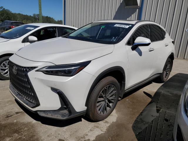 2022 LEXUS NX 250 JTJGDCAZ3N5000664