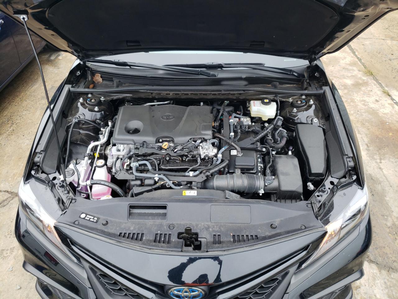 4T1T31AK2NU037055 TOYOTA CAMRY 2022