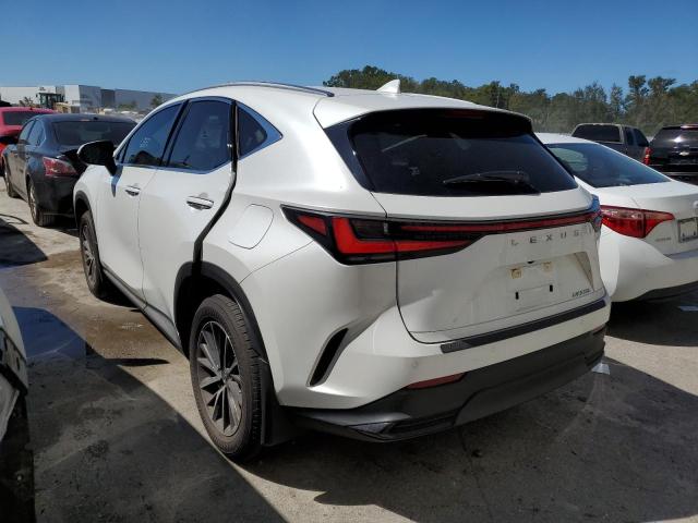 2022 LEXUS NX 250 JTJGDCAZ3N5000664