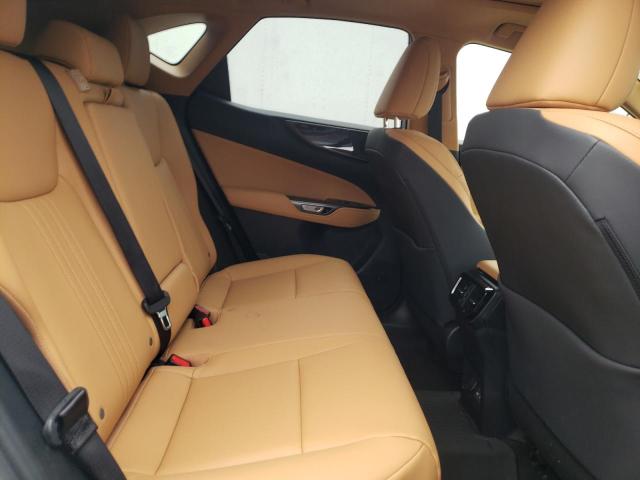 2022 LEXUS NX 350 JTJGGCEZXN2002155