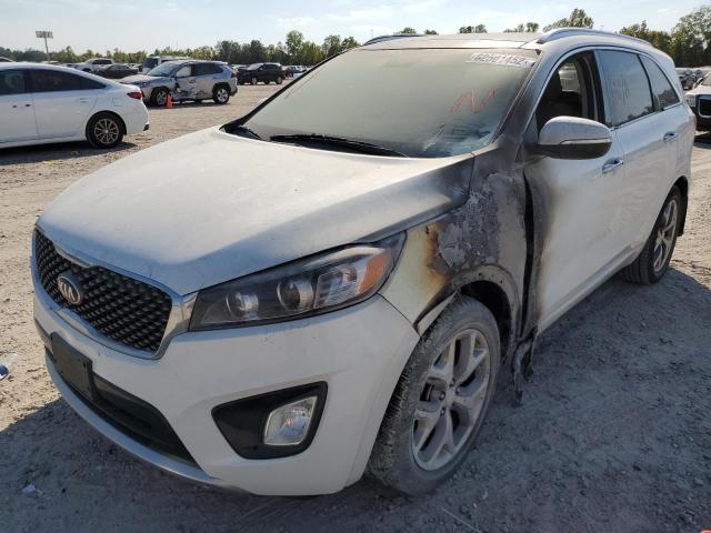 5XYPK4A53GG063303 KIA SORENTO SX
